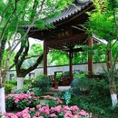 绿岛公园-宁波园林博物馆 - 宁波市旅游 缩略图 6