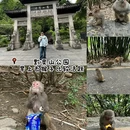 贵阳文昌阁 - 贵阳市旅游 缩略图 5