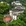 黄山市·齐云山生态文化旅游度假区