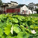 西递古村景区 - 黄山市旅游 缩略图 3