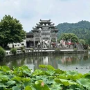 西递古村景区 - 黄山市旅游 缩略图 6