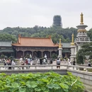 重庆旅游 缩略图 16