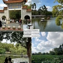 昆明旅游 缩略图 9
