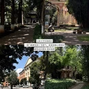昆明旅游 缩略图 11
