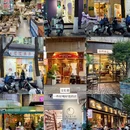 昆明旅游 缩略图 13