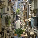 澳门旅游 缩略图 9