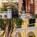 沙面岛 - 广州市旅游 缩略图 4