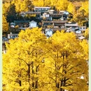 维西县塔城镇 - 迪庆藏族自治州旅游 缩略图 15