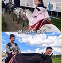 辉腾锡勒草原 - 乌兰察布市旅游 缩略图 2
