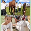 辉腾锡勒草原 - 乌兰察布市旅游 缩略图 5