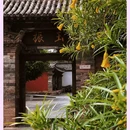 石屏异龙湖 - 红河哈尼族彝族自治州旅游 缩略图 2