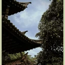 石屏异龙湖 - 红河哈尼族彝族自治州旅游 缩略图 12