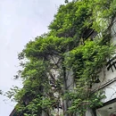 淄博秋叶酒店(山东理工大学陶瓷琉璃馆店) - 淄博市旅游 缩略图 5