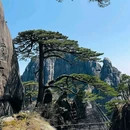 黄山风景区 - 黄山市旅游 缩略图 1