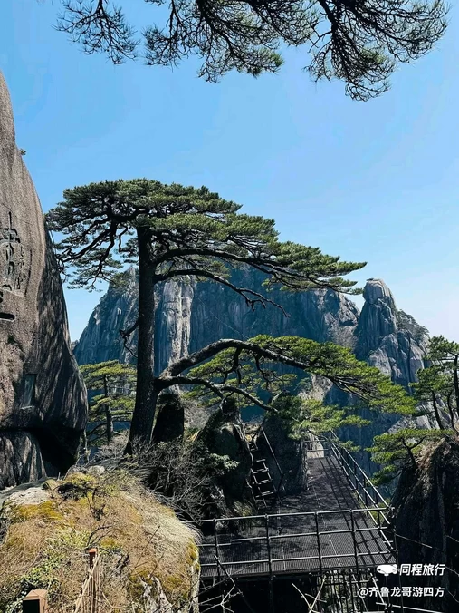 黄山风景区 - 黄山市旅游