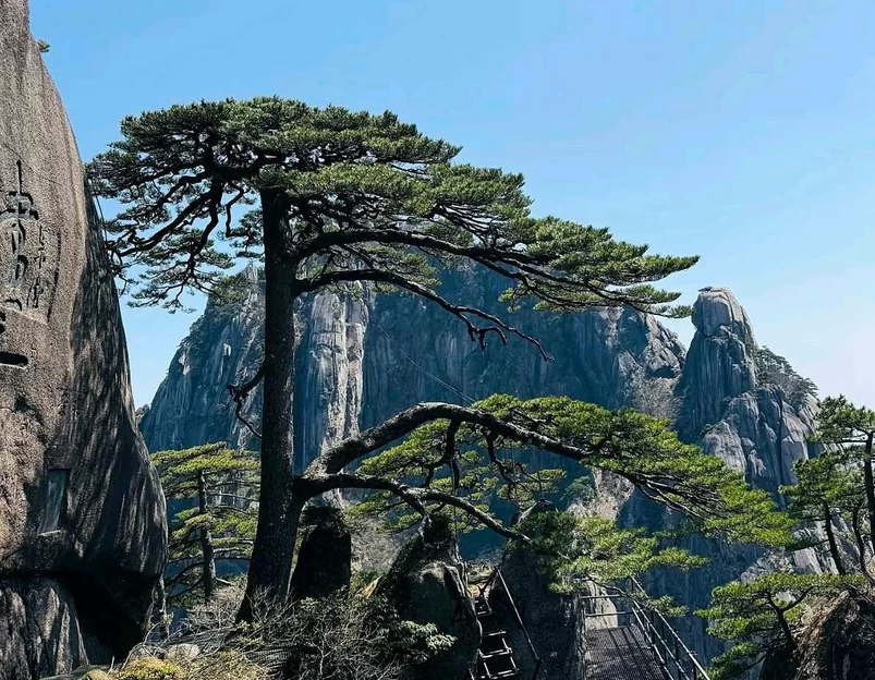 黄山风景区 - 黄山市旅游 1