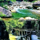 黄山风景区 - 黄山市旅游 缩略图 5