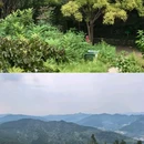 蟠龙山公园 - 营口市旅游 缩略图 4
