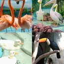 哈尔滨旅游 缩略图 5