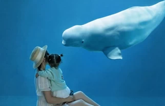 暑假去尔滨，白鲸海洋之心太浪漫了💙