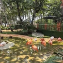 海口万绿园友谊阳光城开元名庭酒店 - 海口市旅游 缩略图 6