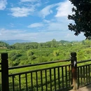 唐·常安驿轻奢酒店(金辉环球广场店) - 西安市旅游 缩略图 7