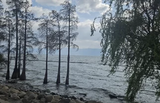 大理｜环洱海不早起亲测两日攻略