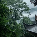 灵隐寺 - 杭州市旅游 缩略图 6