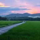 四岭水库 - 杭州市旅游 缩略图 20