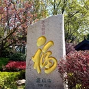 青岛湛山寺 - 青岛市旅游 缩略图 12