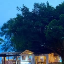 环岛路海滩 - 厦门市旅游 缩略图 8