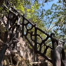 杨家界景区-一步登天 - 张家界市旅游 缩略图 14
