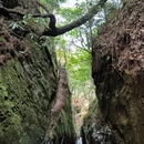 杨家界景区-一步登天 - 张家界市旅游 缩略图 16
