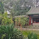杨家界景区-一步登天 - 张家界市旅游 缩略图 19