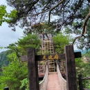 杨家界景区-一步登天 - 张家界市旅游 缩略图 17