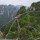 杨家界景区-一步登天 - 张家界市旅游 缩略图 2