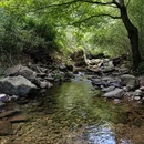 彩虹谷景区 - 杭州市旅游 缩略图 3