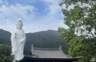 🇭🇰 带长辈游香港，亲测不费腿景点合集