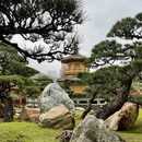 香港旅游 缩略图 6