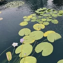 香港旅游 缩略图 8