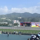 香港旅游 缩略图 5