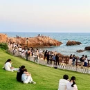 青岛旅游 缩略图 10