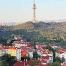 青岛旅游 缩略图 6