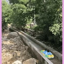 湖洞水 - 北京市旅游 缩略图 17