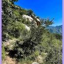 鳞龙山自然风景区 - 北京市旅游 缩略图 9