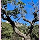 鳞龙山自然风景区 - 北京市旅游 缩略图 10