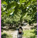 鳞龙山自然风景区 - 北京市旅游 缩略图 11
