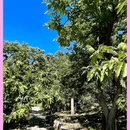 鳞龙山自然风景区 - 北京市旅游 缩略图 13