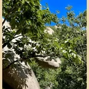 鳞龙山自然风景区 - 北京市旅游 缩略图 16