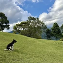 亚庇旅游 缩略图 12